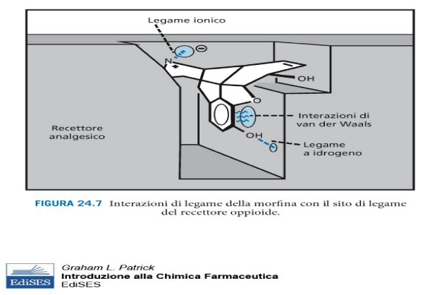 jnnd-aid1017-g001