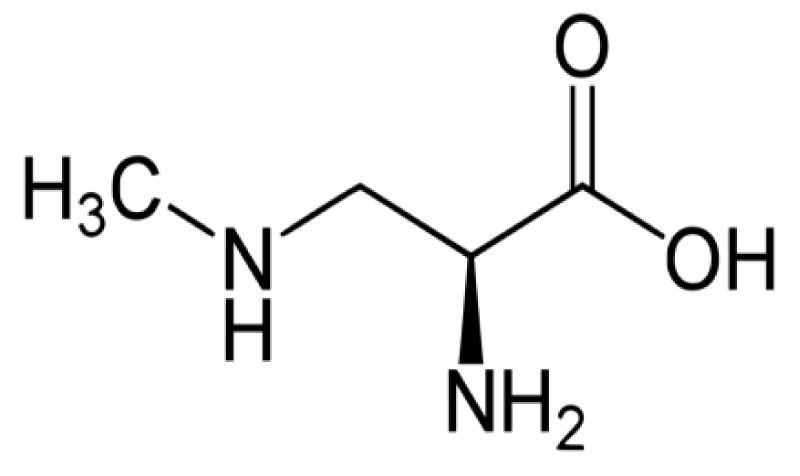 jnnd-aid1019-g012