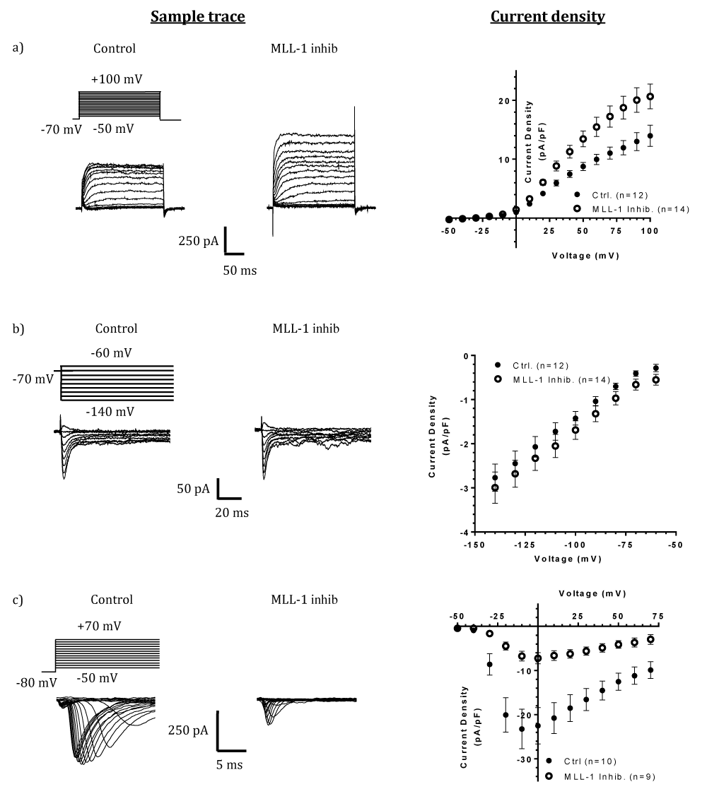 jnnd-aid1057-g002